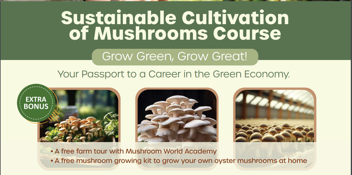 Sustainable Cultivation of Mushrooms